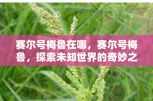 赛尔号梅鲁在哪,赛尔号梅鲁,探索未知世界的奇妙之旅 赛尔号梅鲁在哪,赛尔号梅鲁,探索未知世界的奇妙之旅