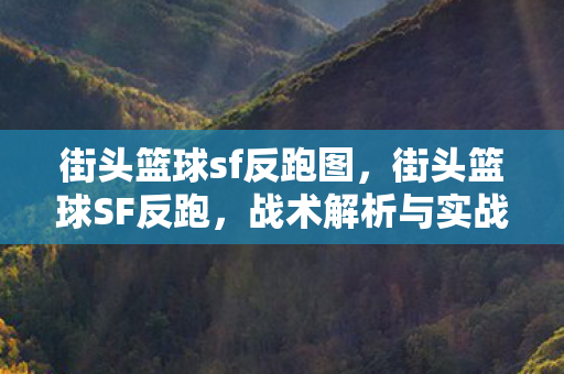 街头篮球sf反跑图,街头篮球SF反跑,战术解析与实战应用 街头篮球sf反跑图,街头篮球SF反跑,战术解析与实战应用