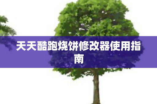 天天酷跑烧饼修改器使用指南