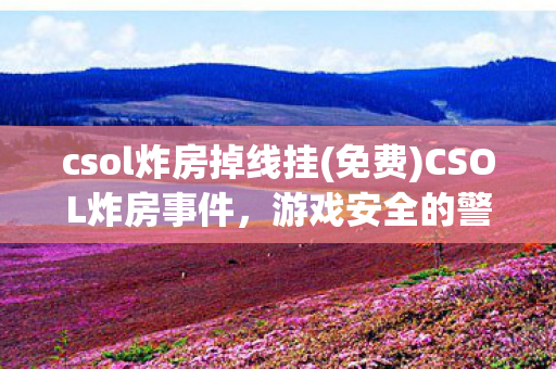 csol炸房掉线挂(免费)CSOL炸房事件，游戏安全的警钟与反思