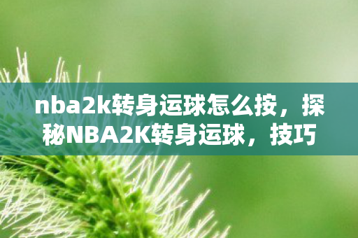 nba2k转身运球怎么按，探秘NBA2K转身运球，技巧与策略的完美结合