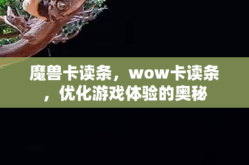 魔兽卡读条，wow卡读条，优化游戏体验的奥秘