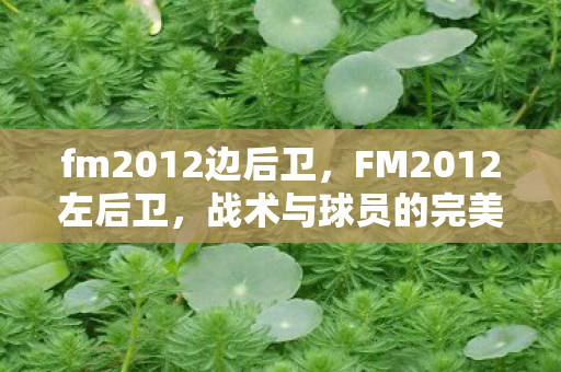 fm2012边后卫，FM2012左后卫，战术与球员的完美结合