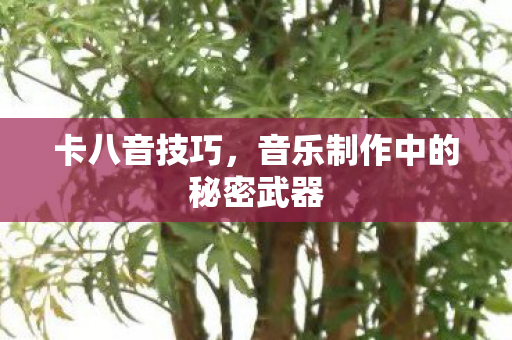 卡八音技巧，音乐制作中的秘密武器