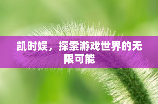 凯时娱，探索游戏世界的无限可能