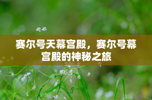 赛尔号天幕宫殿，赛尔号幕宫殿的神秘之旅