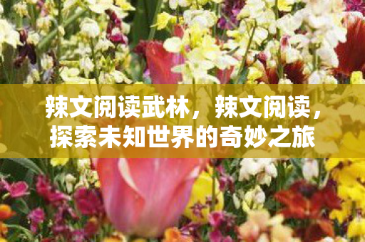 辣文阅读武林，辣文阅读，探索未知世界的奇妙之旅