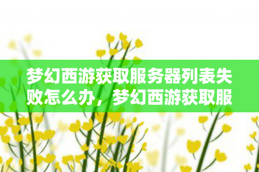 梦幻西游获取服务器列表失败怎么办，梦幻西游获取服务器列表失败，探索官方与玩家间的连接桥梁