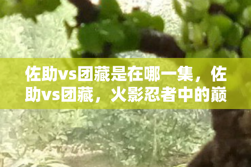 佐助vs团藏是在哪一集，佐助vs团藏，火影忍者中的巅峰对决