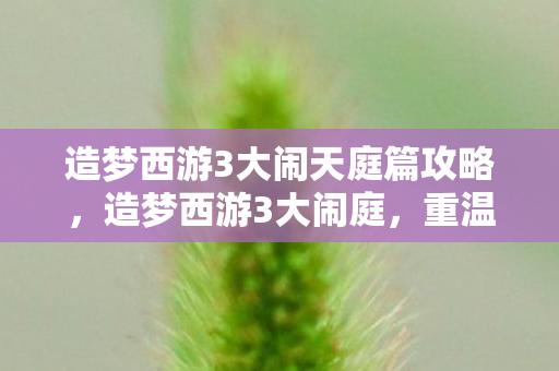 造梦西游3大闹天庭篇攻略，造梦西游3大闹庭，重温经典，探索未知的神话世界