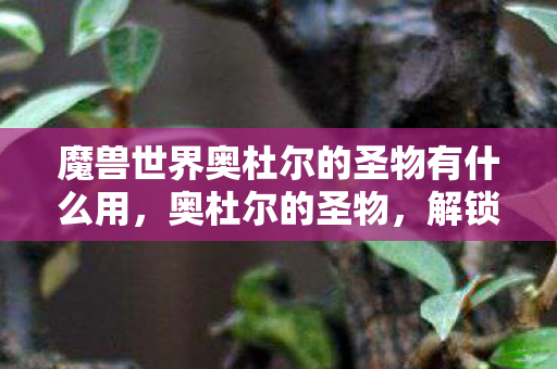 魔兽世界奥杜尔的圣物有什么用，奥杜尔的圣物，解锁神秘力量的钥匙