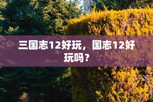 三国志12好玩，国志12好玩吗？