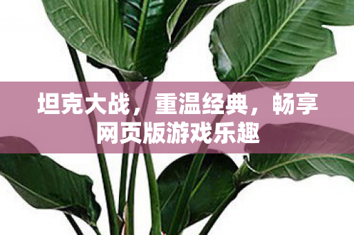 坦克大战，重温经典，畅享网页版游戏乐趣