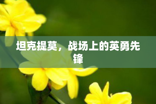 坦克提莫，战场上的英勇先锋