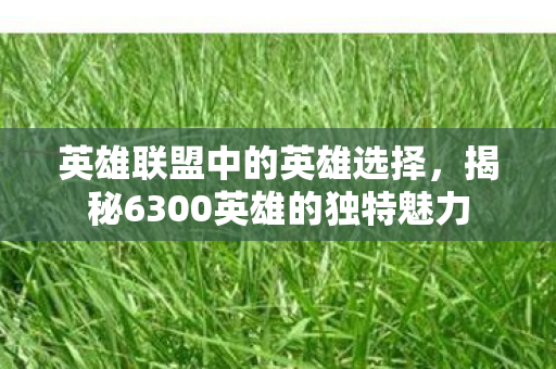 英雄联盟中的英雄选择，揭秘6300英雄的独特魅力