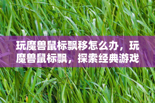 玩魔兽鼠标飘移怎么办，玩魔兽鼠标飘，探索经典游戏的怀旧情怀与社区文化