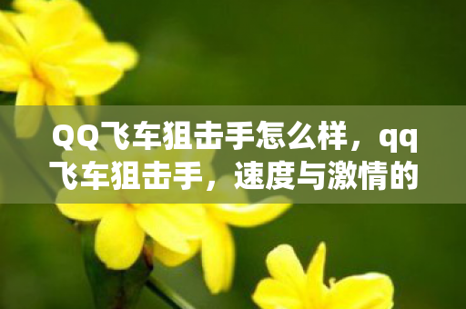QQ飞车狙击手怎么样，qq飞车狙击手，速度与激情的较量