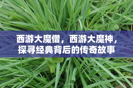 西游大魔僧,西游大魔神,探寻经典背后的传奇故事 西游大魔僧,西游大魔神,探寻经典背后的传奇故事