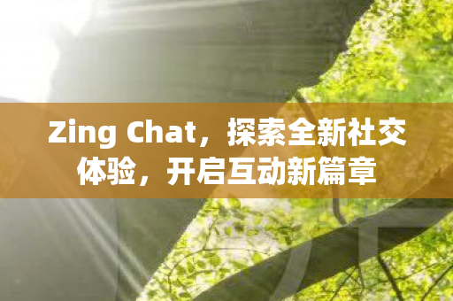 Zing Chat，探索全新社交体验，开启互动新篇章