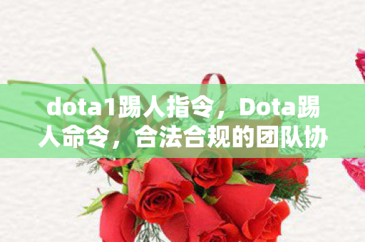 dota1踢人指令,Dota踢人命令,合法合规的团队协作策略 dota1踢人指令,Dota踢人命令,合法合规的团队协作策略
