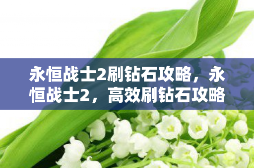 永恒战士2刷钻石攻略，永恒战士2，高效刷钻石攻略