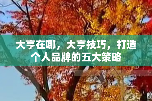 大亨在哪，大亨技巧，打造个人品牌的五大策略