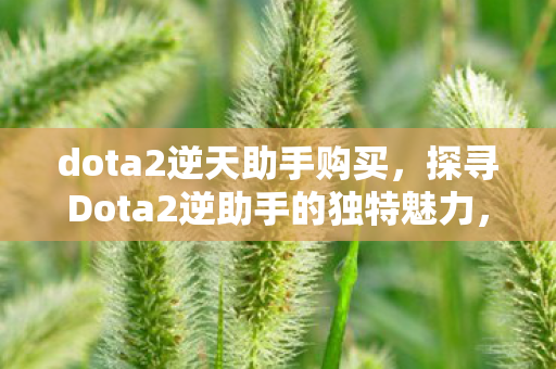 dota2逆天助手购买，探寻Dota2逆助手的独特魅力，从数据到攻略的全方位支持