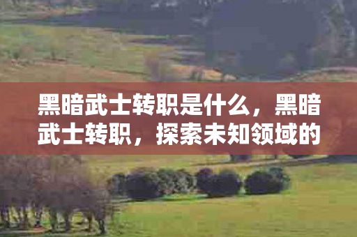 黑暗武士转职是什么，黑暗武士转职，探索未知领域的勇者之旅
