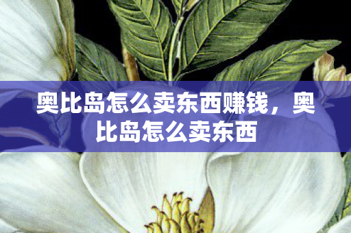 奥比岛怎么卖东西赚钱，奥比岛怎么卖东西