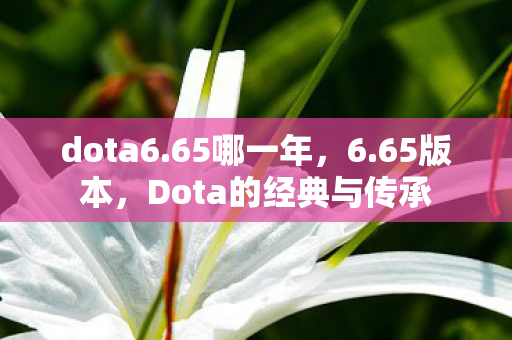 dota6.65哪一年，6.65版本，Dota的经典与传承