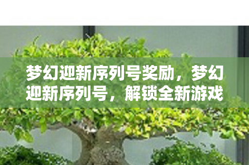 梦幻迎新序列号奖励，梦幻迎新序列号，解锁全新游戏体验的钥匙