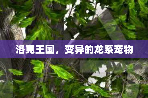 洛克王国，变异的龙系宠物