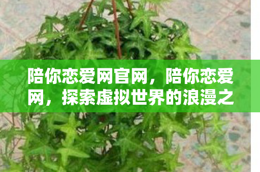 陪你恋爱网官网，陪你恋爱网，探索虚拟世界的浪漫之旅