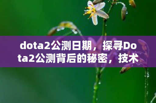 dota2公测日期，探寻Dota2公测背后的秘密，技术革新与玩家期待的碰撞