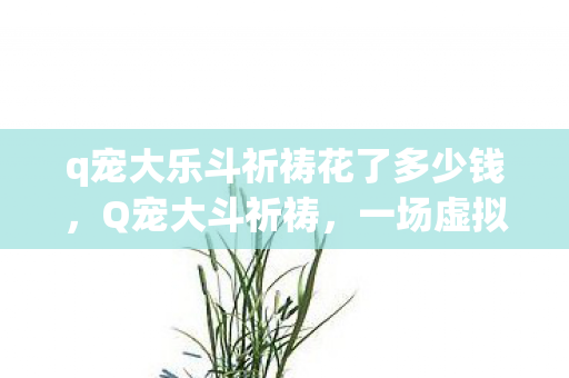 q宠大乐斗祈祷花了多少钱，Q宠大斗祈祷，一场虚拟世界的信仰与战斗