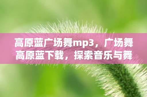 高原蓝广场舞mp3，广场舞高原蓝下载，探索音乐与舞蹈的无限魅力