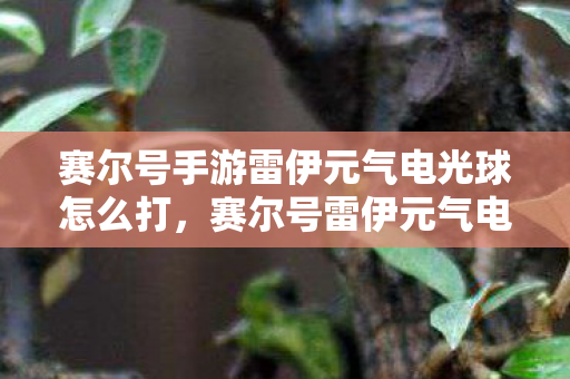 赛尔号手游雷伊元气电光球怎么打，赛尔号雷伊元气电光球，探索经典游戏的多元魅力