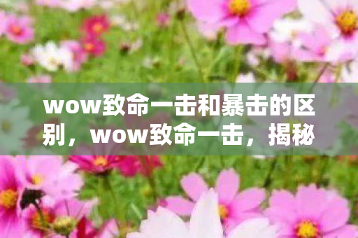 wow致命一击和暴击的区别，wow致命一击，揭秘游戏内隐藏机制与玩家策略
