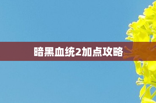 暗黑血统2加点攻略