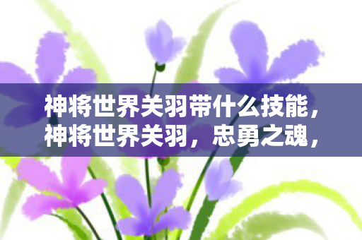 神将世界关羽带什么技能，神将世界关羽，忠勇之魂，战魂无双