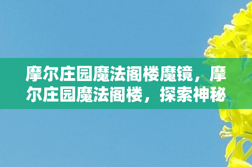 摩尔庄园魔法阁楼魔镜，摩尔庄园魔法阁楼，探索神秘世界的奇妙之旅