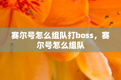 赛尔号怎么组队打boss，赛尔号怎么组队