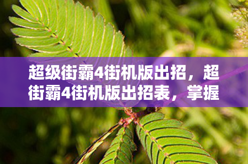 超级街霸4街机版出招，超街霸4街机版出招表，掌握经典格斗游戏的精髓