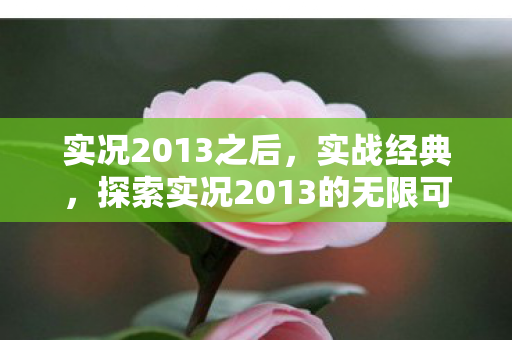 实况2013之后,实战经典,探索实况2013的无限可能 实况2013之后,实战经典,探索实况2013的无限可能