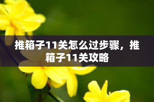 推箱子11关怎么过步骤，推箱子11关攻略