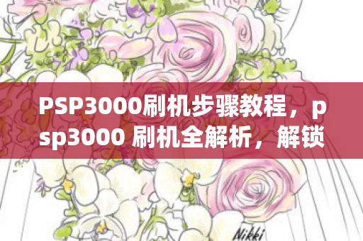 PSP3000刷机步骤教程,psp3000 刷机全解析,解锁无限可能的娱乐神器 PSP3000刷机步骤教程,psp3000 刷机全解析,解锁无限可能的娱乐神器