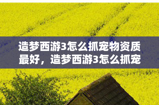 造梦西游3怎么抓宠物资质最好,造梦西游3怎么抓宠物 造梦西游3怎么抓宠物资质最好,造梦西游3怎么抓宠物