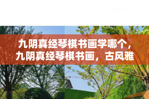 九阴真经琴棋书画学哪个，九阴真经琴棋书画，古风雅韵的江湖情怀