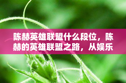 陈赫英雄联盟什么段位,陈赫的英雄联盟之路,从娱乐明星到电竞新星的跨界之旅 陈赫英雄联盟什么段位,陈赫的英雄联盟之路,从娱乐明星到电竞新星的跨界之旅