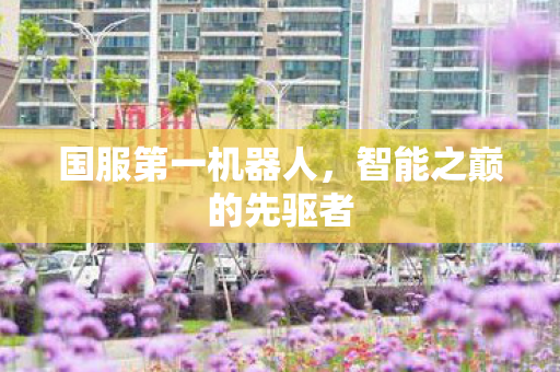 国服第一机器人，智能之巅的先驱者